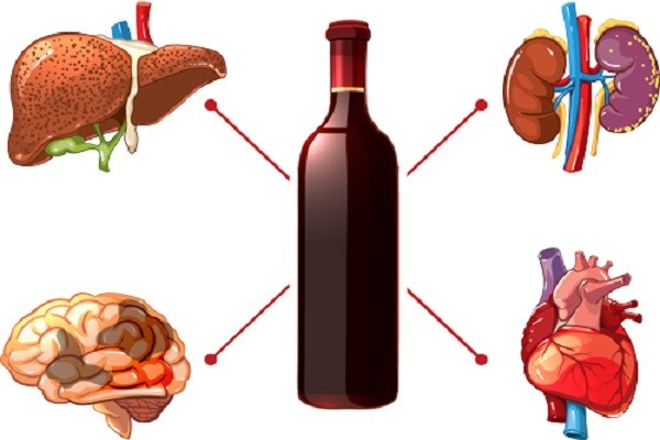 Nhận biết cơ chế chuyển hóa rượu bia trong cơ thể bạn