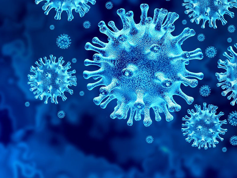 Dịch Covid-19 và virus Corona: Những thông tin bạn cần ghi nhớ - Bệnh học 4  phương