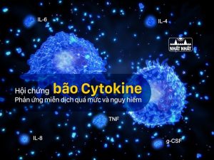Hội chứng bão Cytokine