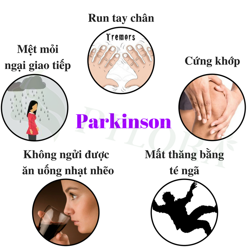 Các biểu hiện của bệnh Parkinson