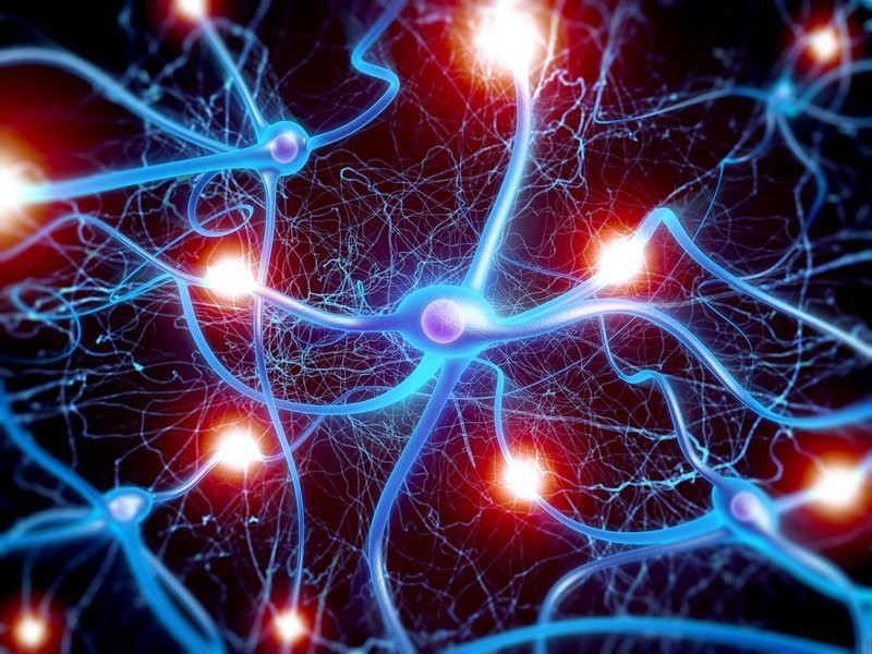 Thuốc tác động đến chất dẫn truyền thần kinh trong não